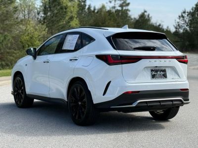 2025 Lexus NX - Photo 10