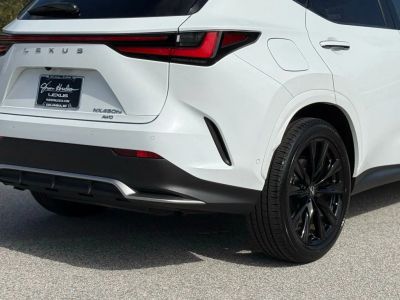 2025 Lexus NX - Photo 14