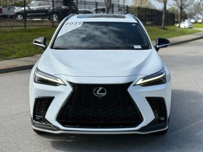 2025 Lexus NX - Photo 7