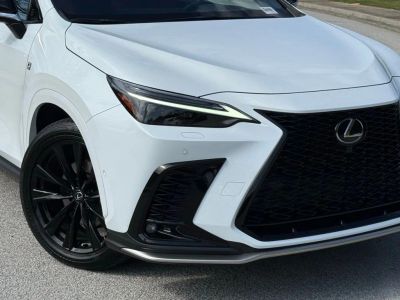 2025 Lexus NX - Photo 4