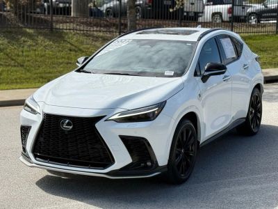 2025 Lexus NX - Photo 8