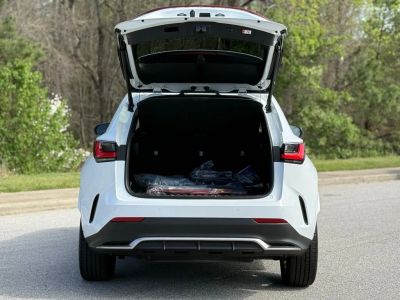 2025 Lexus NX - Photo 15