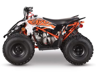 2026 Kayo Predator 125 EFI - Photo 2