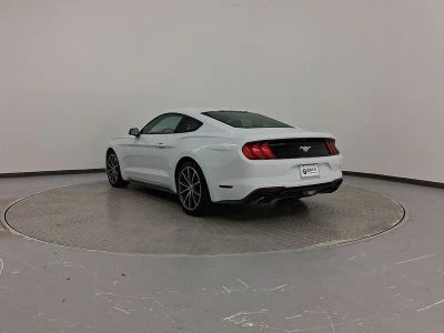 2019 Ford Mustang Coupe - Photo 3