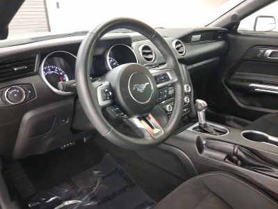 2019 Ford Mustang Coupe - Photo 4