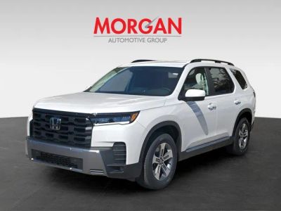 2026 Honda Pilot — photo 8 view