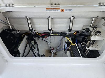 2025 Robalo R250 - Photo 9