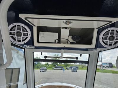 2025 Robalo R250 - Photo 12
