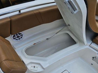 2025 Robalo R250 - Photo 14