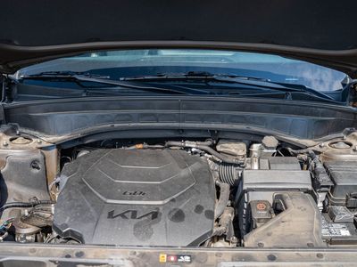 2024 Kia Telluride - Photo 24