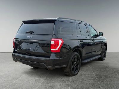 2021 Ford Expedition — detail view