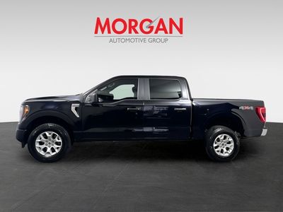 2023 Ford F-150 — photo 7 view