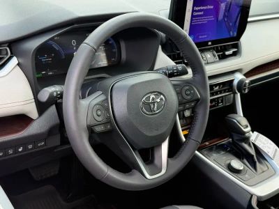 2025 Toyota RAV4 Hybrid - Photo 17