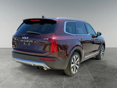 2022 Kia Telluride — detail view