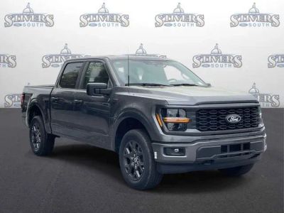 2026 Ford F-150 STX in Gray — front three-quarter view