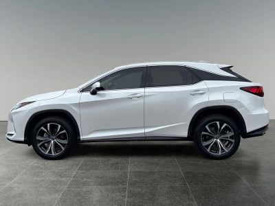 2021 Lexus RX — detail view
