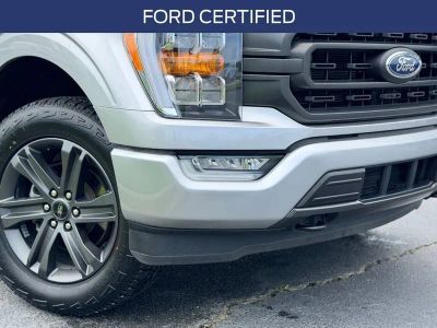 2023 Ford F-150 — rear three-quarter view