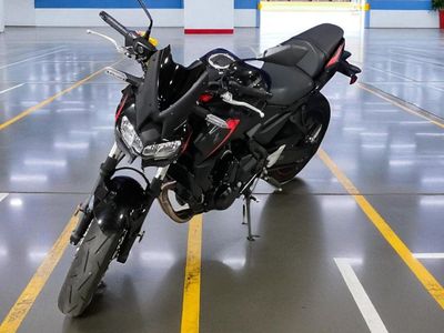 2023 Kawasaki Z650 - Photo 2