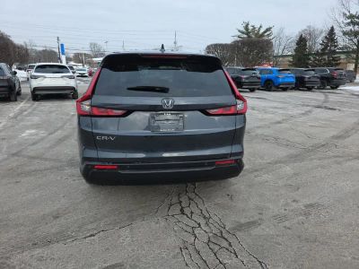 2024 Honda CR-V EX-L — photo 8 view