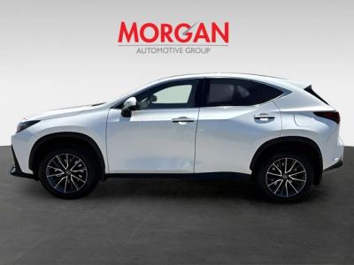 2025 Lexus NX — engine compartment view