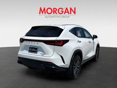 2025 Lexus NX — rear three-quarter view