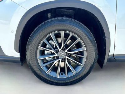 2025 Lexus NX — photo 44 view