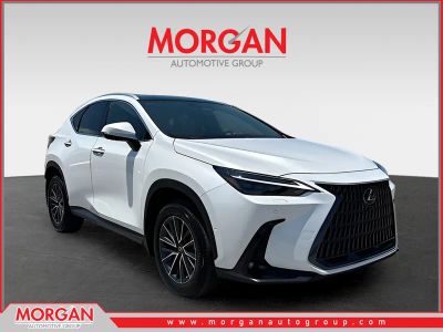 2025 Lexus NX 350h Luxury in White Pearl — front three-quarter view
