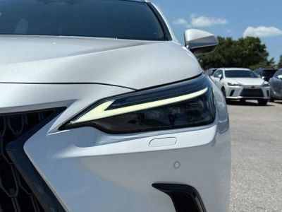 2025 Lexus NX — photo 9 view
