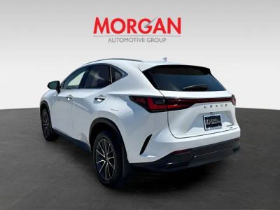 2025 Lexus NX — detail view