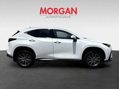 2025 Lexus NX — side profile view
