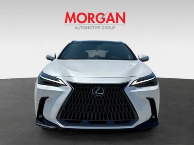 2025 Lexus NX — photo 8 view