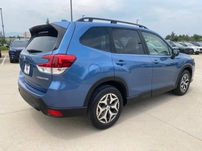 2023 Subaru Forester — detail view