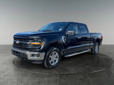 2024 Ford F-150 — rear three-quarter view