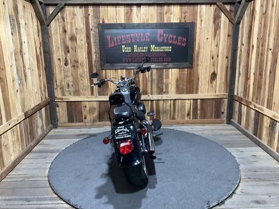 2015 Harley-Davidson Fat Boy Lo - Photo 4