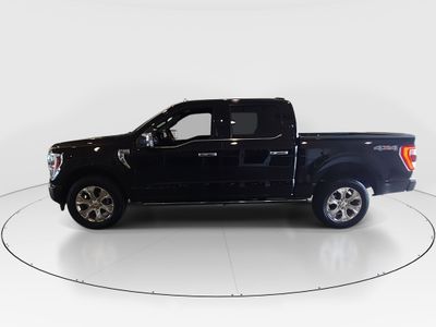 2023 Ford F-150 — interior view