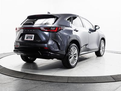 2023 Lexus NX - Photo 12