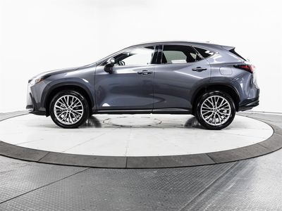2023 Lexus NX - Photo 8