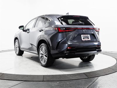 2023 Lexus NX - Photo 9