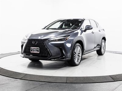 2023 Lexus NX - Photo 3