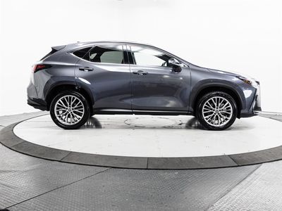 2023 Lexus NX - Photo 13