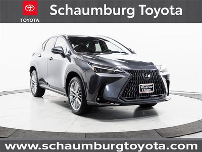 2023 Lexus NX - Photo 1
