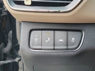2019 Hyundai Santa Fe — photo 23 view