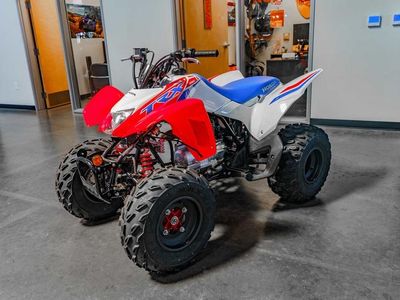 2026 Honda TRX250X - Photo 7