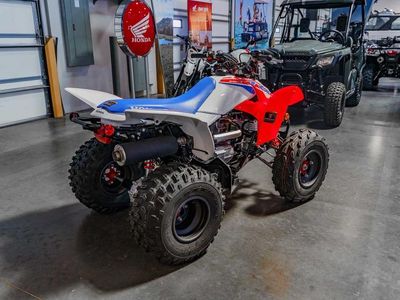 2026 Honda TRX250X - Photo 4