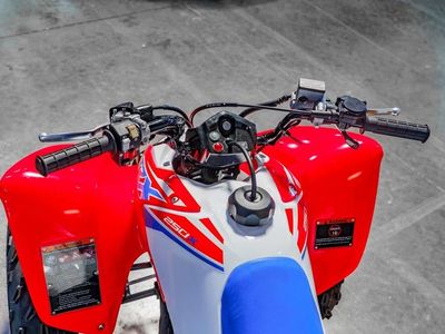 2026 Honda TRX250X - Photo 8