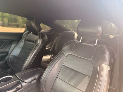 2021 Ford Mustang - Photo 14