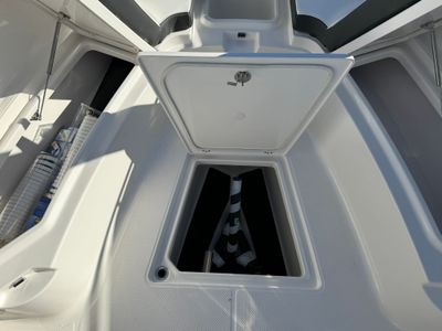 2026 Robalo 300 CC - Photo 41