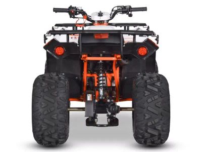 2026 Kayo Bull 110 - Photo 8