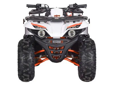 2026 Kayo Bull 110 - Photo 5
