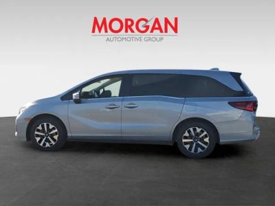 2026 Honda Odyssey — photo 8 view